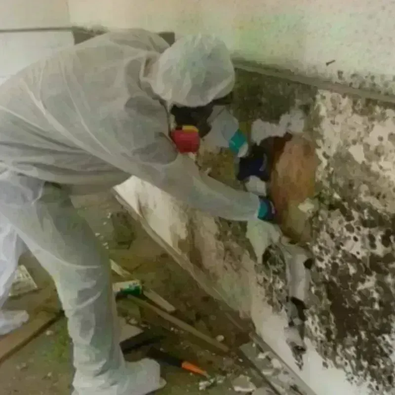 Mold Remediation and Removal in Atoka, OK