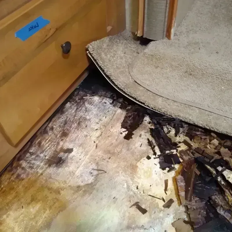 Wood Floor Water Damage in Atoka, OK